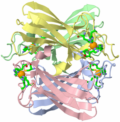 Image Asym./Biol. Unit - sites