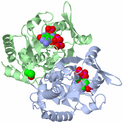 Image Asym./Biol. Unit