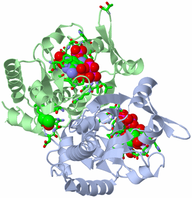 Image Asym./Biol. Unit - sites