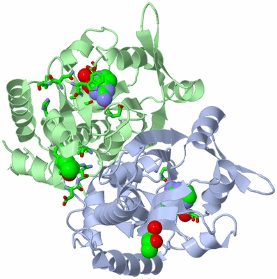 Image Asym./Biol. Unit - sites