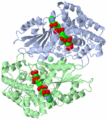 Image Asym./Biol. Unit