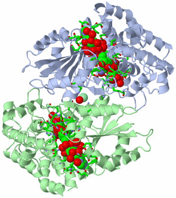 Image Asym./Biol. Unit - sites