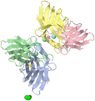 Image Biological Unit 3