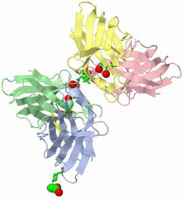 Image Asym. Unit - sites