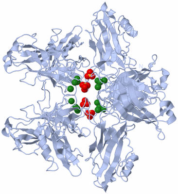 Image Biological Unit 2