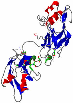 Image Asym. Unit - sites