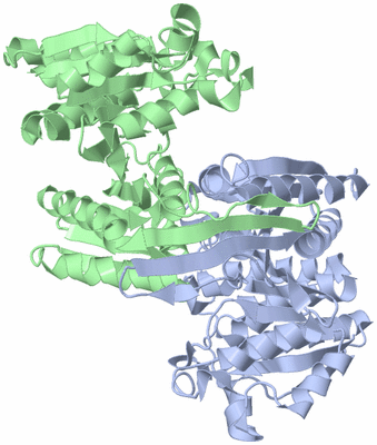 Image Asym./Biol. Unit