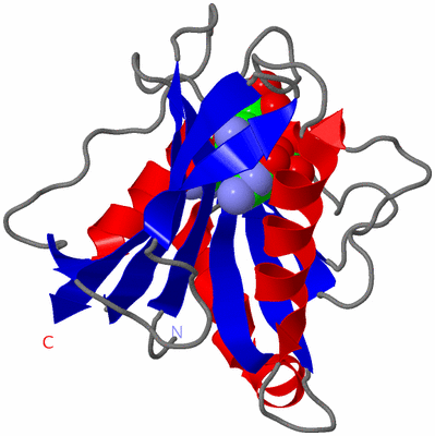 Image Asymmetric Unit