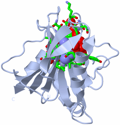 Image Biol. Unit 1 - sites