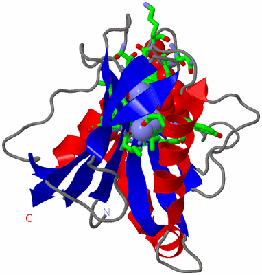 Image Asym. Unit - sites