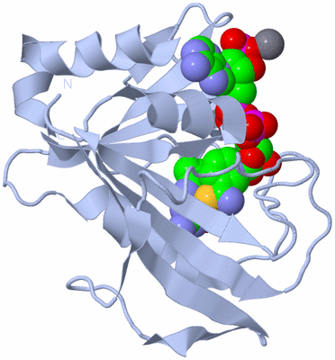 Image Biological Unit 1