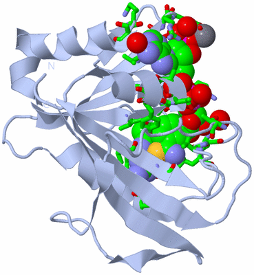 Image Biol. Unit 1 - sites