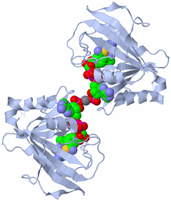 Image Biological Unit 2