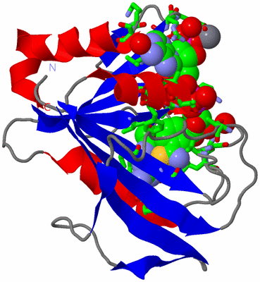 Image Asym. Unit - sites