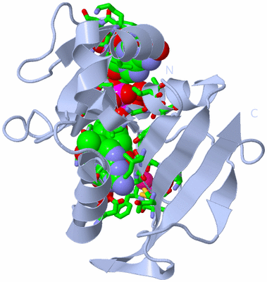 Image Biol. Unit 1 - sites