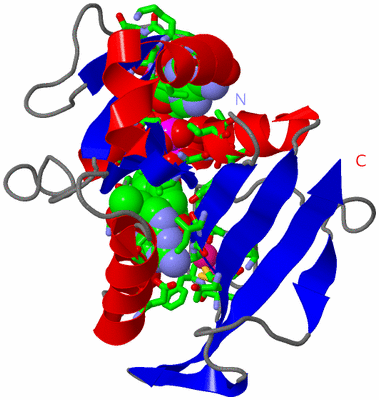 Image Asym. Unit - sites