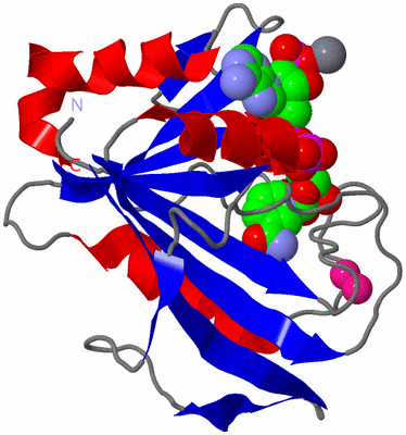 Image Asym./Biol. Unit