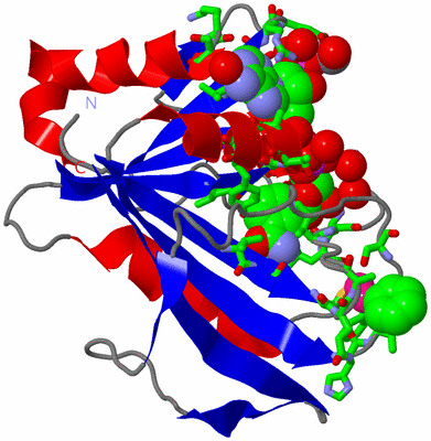 Image Asym./Biol. Unit - sites