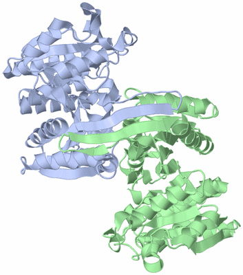 Image Asym./Biol. Unit