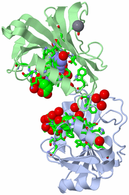 Image Asym./Biol. Unit - sites