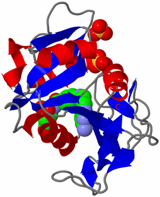 Image Asym./Biol. Unit