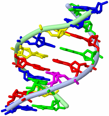 Image NMR Structure - model 1