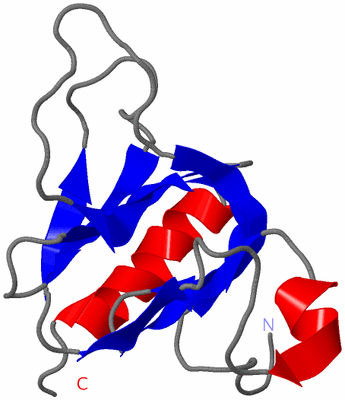 Image NMR Structure - model 1
