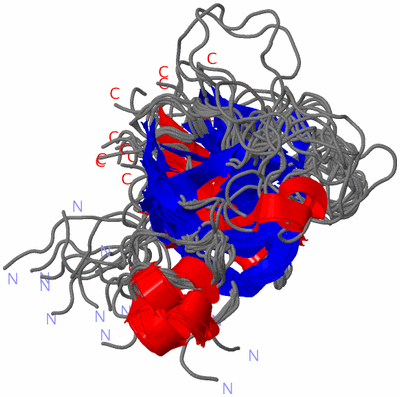 Image NMR Structure - all models