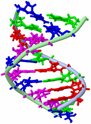 Image NMR Structure - model 1