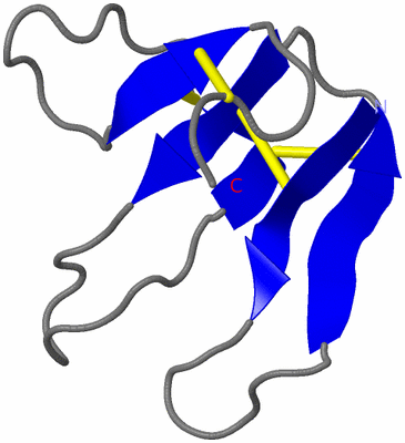 Image NMR Structure - model 1