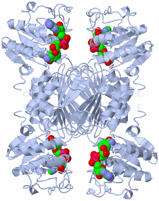 Image Biological Unit 1