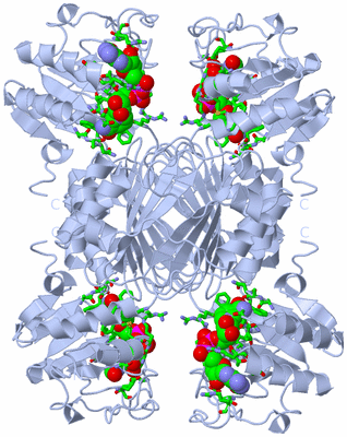 Image Biol. Unit 1 - sites