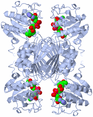 Image Biological Unit 1