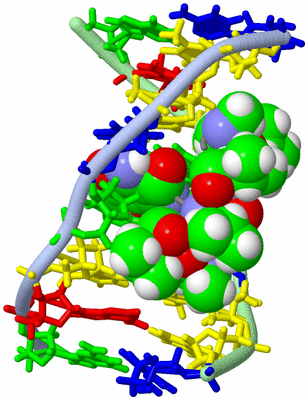 Image NMR Structure - model 1