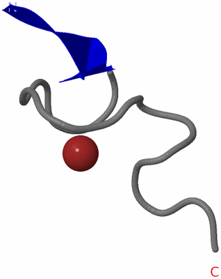 Image NMR Structure - model 1