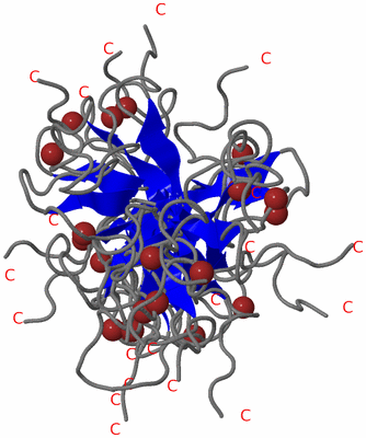 Image NMR Structure - all models