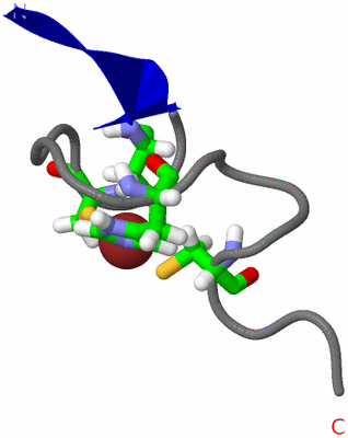 Image NMR Structure - model 1, sites