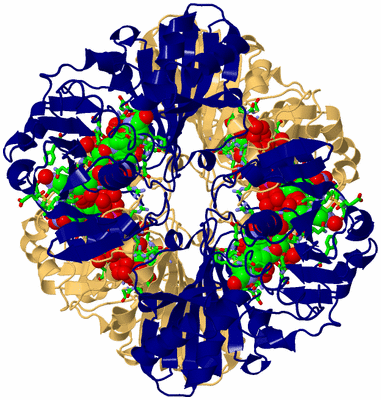 Image Biol. Unit 1 - sites