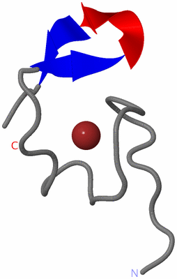 Image NMR Structure - model 1