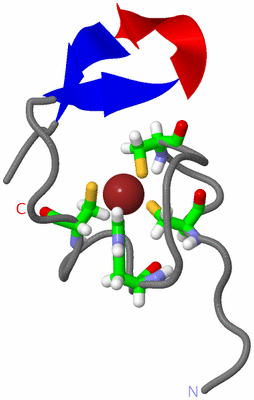 Image NMR Structure - model 1, sites