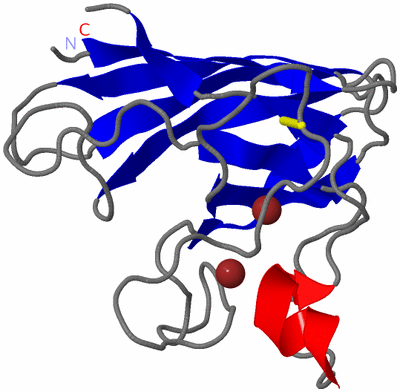 Image NMR Structure - model 1