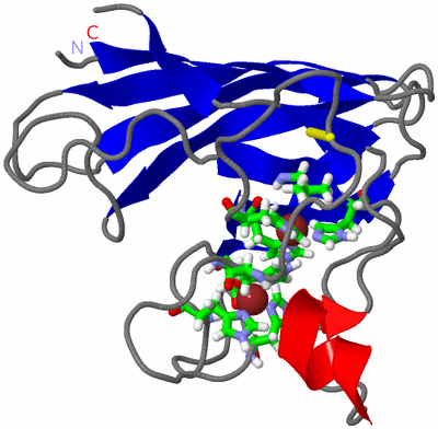 Image NMR Structure - model 1, sites