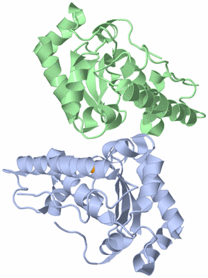 Image Biological Unit 1