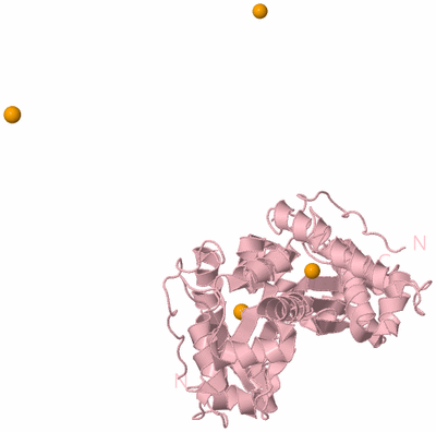 Image Biological Unit 2