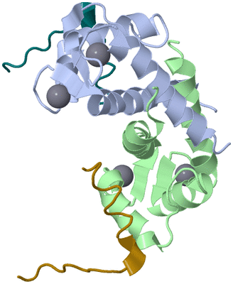 Image NMR Structure - model 1