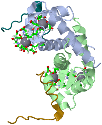 Image NMR Structure - model 1, sites