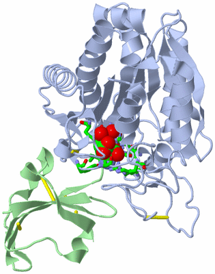 Image Asym./Biol. Unit - sites