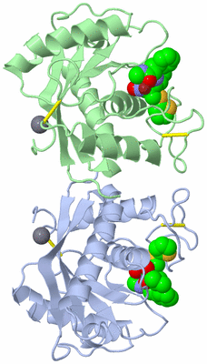 Image Asym./Biol. Unit