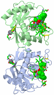 Image Asym./Biol. Unit - sites