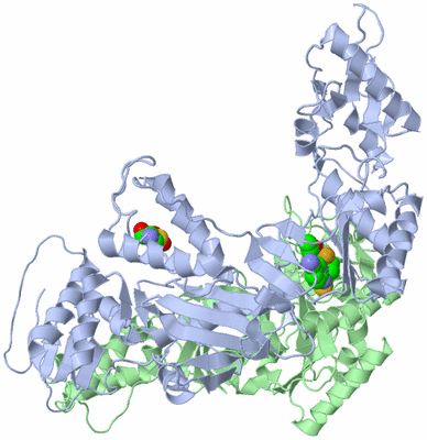 Image Asym./Biol. Unit